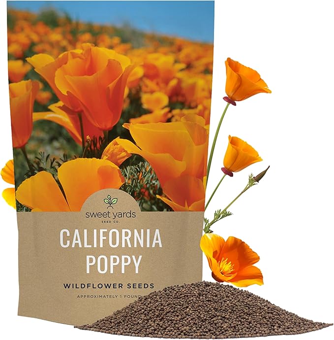 Bulk California Orange Poppy Wildflower Seeds - 1 Pound Bag - Over 320,000 Native Seeds - California State Flower!