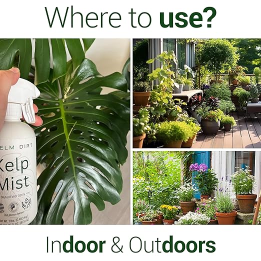 Elm Dirt Kelp Mist 100% Organic Plant Spray - Foliar Spray for Plants Food Indoor House Plants & Outdoor Plant Food | Help Plant Nutrients Efficiently & Boost Soil Activity - Kelp Foliar Mist (16 oz)