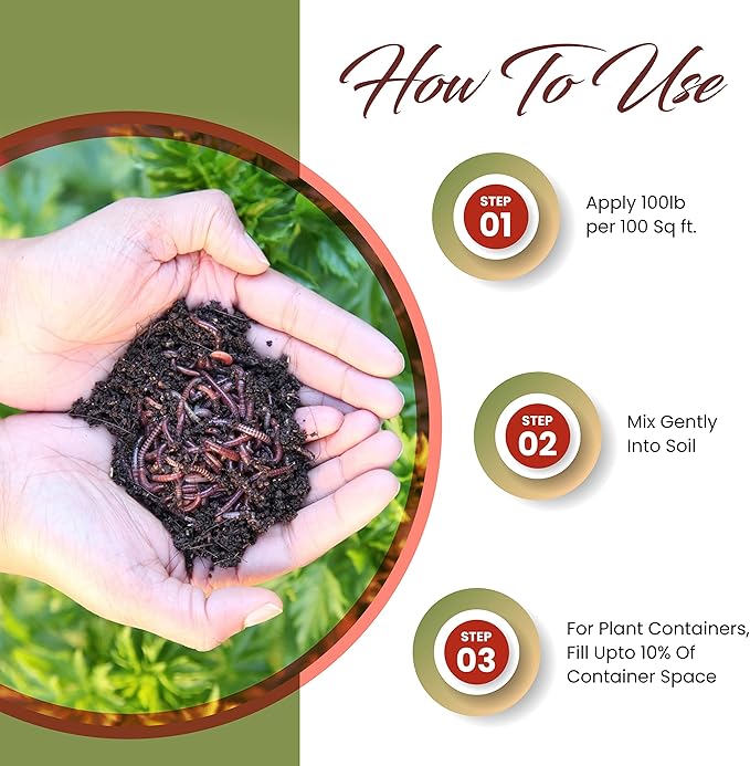 Worm Bliss (1 Gallon) - Organic Worm Castings for Plants - OMRI-Listed Earthworm Castings Worm Fertilizer - Worm Castings Organic Fertilizer for Plants, Potting Soil, Garden Soil, & Seed Starter Soil