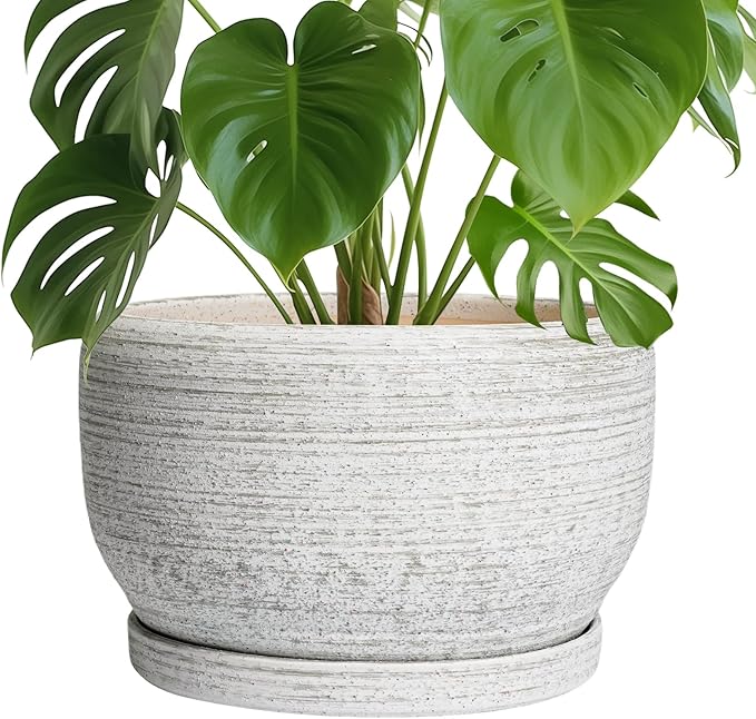 SQOWL Ceramic Flower Pots - 10 Inch Plant Pot Indoor with Drainage Hole and Saucer, Modern Ceramic Planter Outdoor, Decorative Large Round Planter, Bedroom Decor, Plant Lovers Gifts, Gray