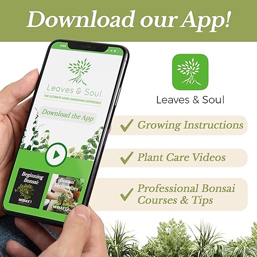 LEAVES AND SOUL Professional Liquid Cucumber Fertilizer | 5-1-5 Concentrate, Liquid Plant Fertilizer for Garden, Healthy Produce, Good Harvest, Multi-Purpose Blend & Gardening Supplies | 8 oz
