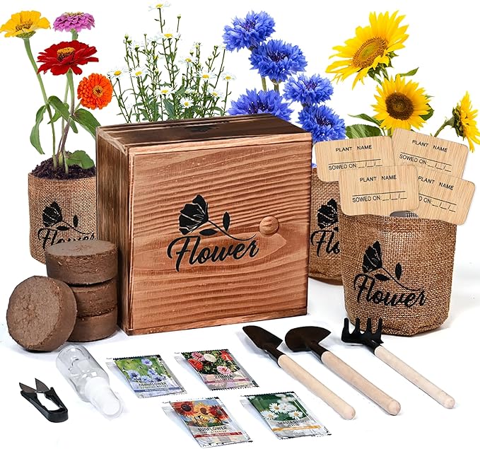 Indoor Starter 4 Kit with Complete Gardening Kit & Wooden Box, Growing into Shasta Daisy, Cornflower, Sunflower, Zinnia
