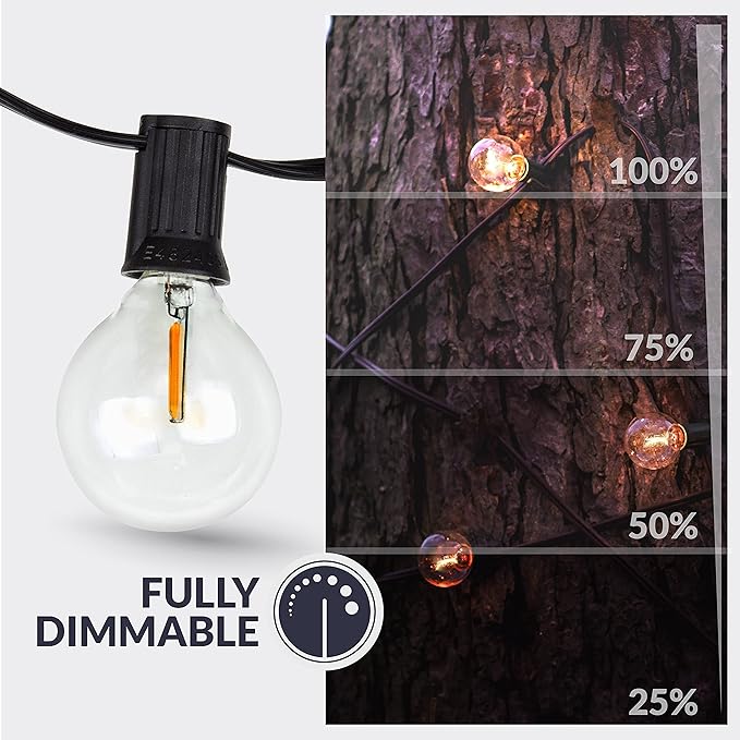 Newhouse Lighting LED G40 String Lights with Weatherproof Technology, 100W Dimmer with Wireless Remote Control, 50ft and 52 (50+2 Free) LED Light Bulbs Included, Warm White (PSTRINGLEDDIM)