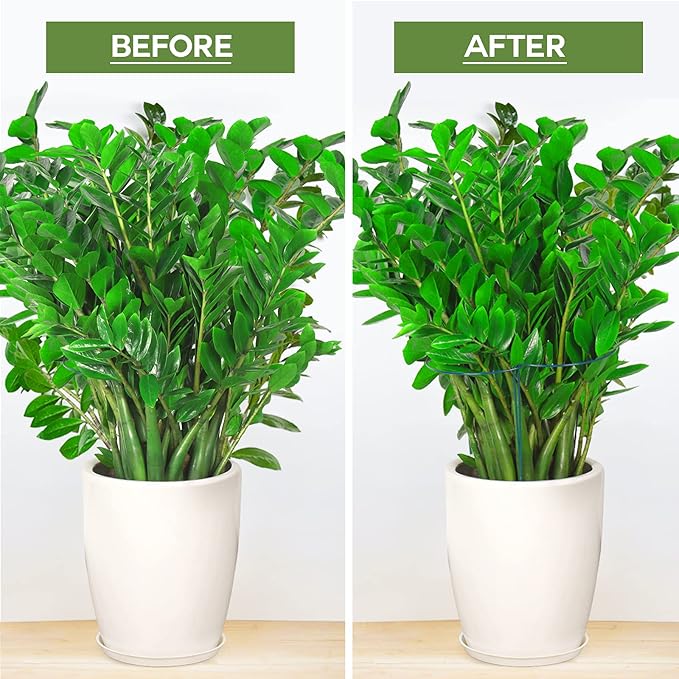 LEOBRO Plant Support Stakes, 6 PCS Peony Cages and Supports, Plant Stakes for Indoor Plants, Outdoor Plants, Monstera Tomato Hydrangea Support Cage, 10" W x 15.8" H