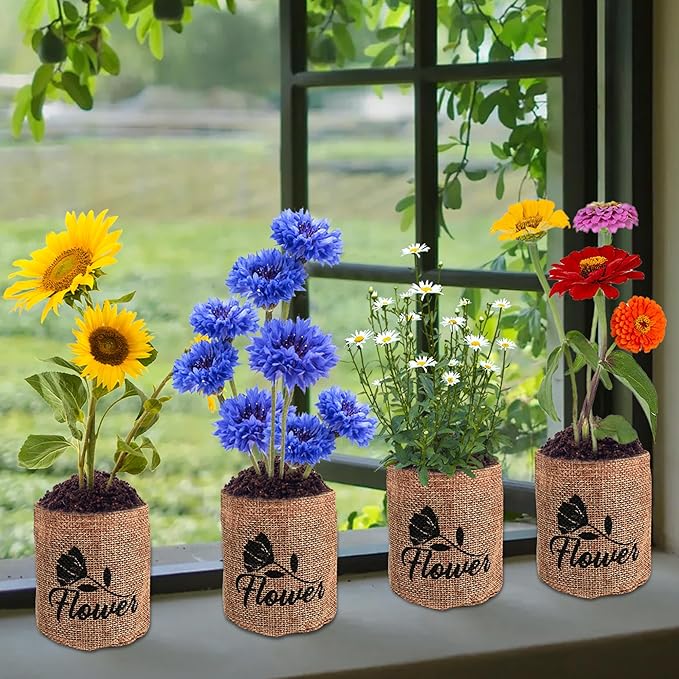 Indoor Daisy Garden Starter Kit, 4 Flower Seeds Growing into Shasta Daisy, Cornflower, Sunflower, Zinnia, Including Complete Gardening Tools, Christmas Gifts for Women Men & Beginners