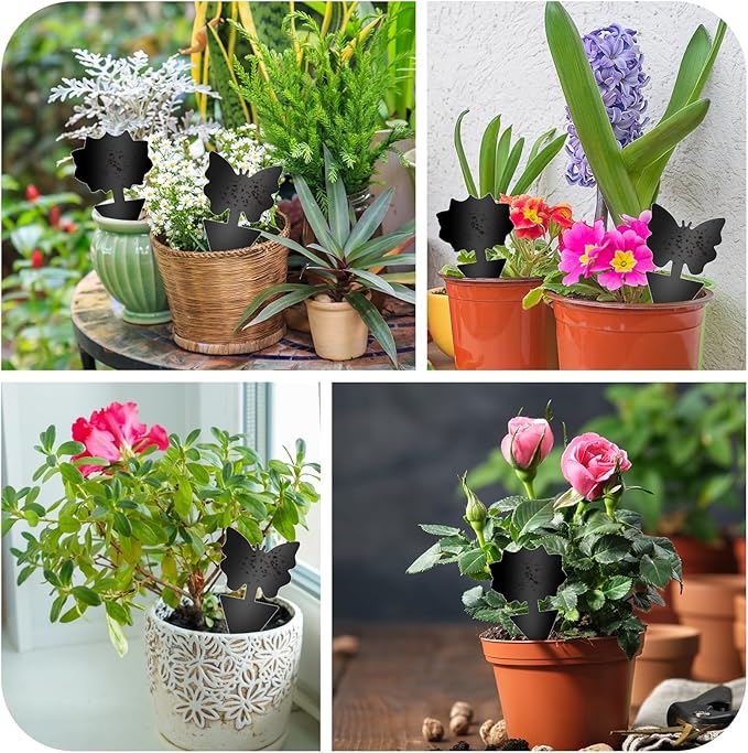 Fruit Fly Traps, 100 Pack Black Sticky Traps, Fungus Gnat Traps, Plant Fly Stickers for Indoor and Outdoor Use Protect The Plant