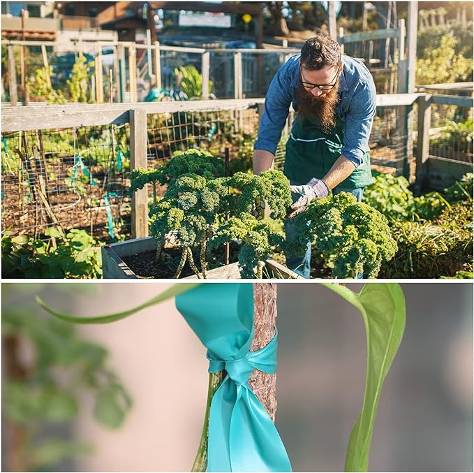 Stretch Tie Tape, 1” Wide 200FT Reusable Garden Plant Ties Green Tapes for Plants, Thick Garden Vinyl Stake Ribbon for Branches Flowers Tomatoes Indoor Outdoor Greenhouse