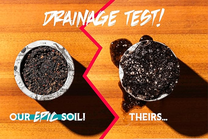 High Drainage Succulent Soil Potting Mix with Coffee Compost & Mycorrhizhal Fungi - 4 Dry Quarts - Slighly Acidic, Gritty Soil for Edgy Plants - Spike & Bloom