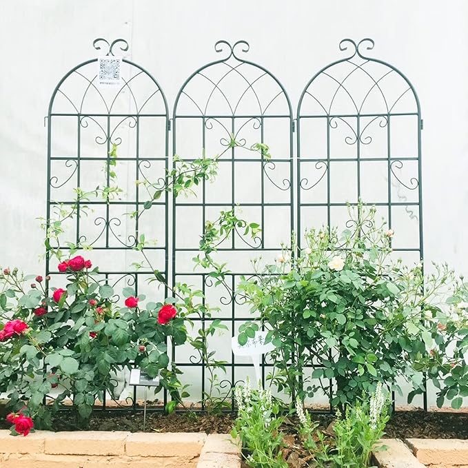 4 Pack Metal Garden Trellis 71" x 19.7" Black Fence Rustproof Garden Trellis for Climbing Plants Support Roses Flower Outdoor Lawn, Black