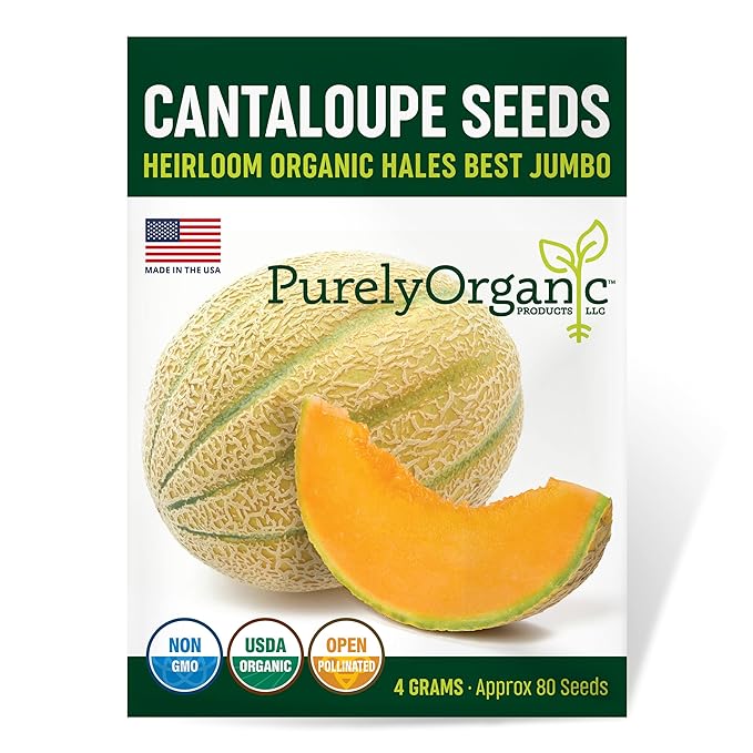 Organic Cantaloupe Seeds (Hales Best Jumbo) - Approx 80 Seeds - USDA Organic, Non-GMO, Open Pollinated, Heirloom, USA Origin