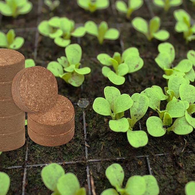 ZeeDix 50pcs(40mm) Coco Coir Pellets Potting Soil Indoor Plants, Compressed Coconut Coir Soil Pellets Seed Starting Pellets Soil Discs for Planting Flowers Bonsai Herbs Plants and Vegetables