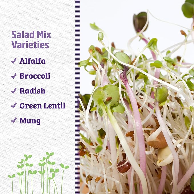 Back to the Roots 100% Organic 5-Part Salad Seeds | 1 Pound Non-GMO | Nutrient Dense, Easy to Grow, Rich in Fiber