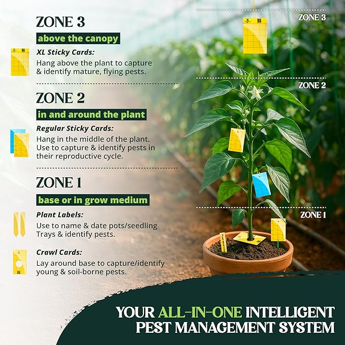Catchmaster GRO Yellow Regular Double Sided Sticky Traps 72PK, Adhesive Bug & Fruit Fly Trap, Pest Control for Home, Farm, Garden, Hydroponics & Greenhouse, Protect Live Plants Indoor & Outdoor