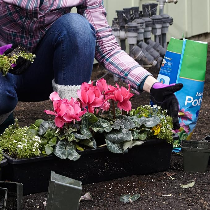 Miracle-Gro Moisture Control Potting Mix, For Container Plants, Protects against Over- and Under-Watering, 6 qt.