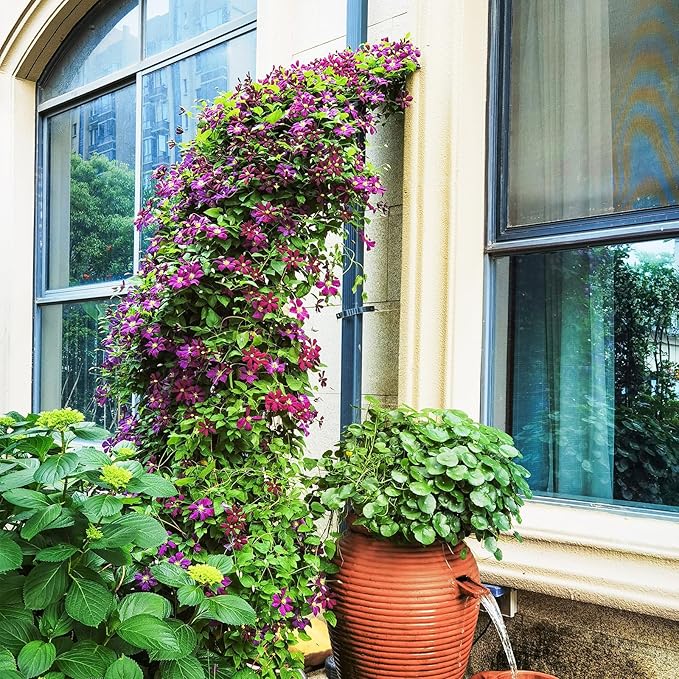 Giantex 2 Half Garden Arch Trellis, 8.2 FT Metal Garden Arbor, 6 Sizes, Easy Assembly, Archway for Climbing Plants Roses Vines, Outdoor Trellis Pergola for Wedding Bridal Party Ceremony Lawn Decor