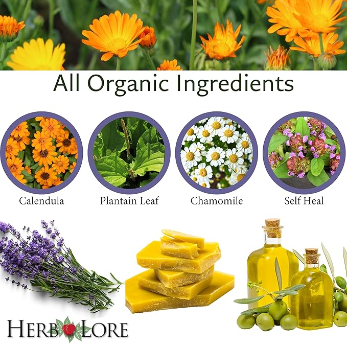 Herb Lore Healing Salve Ointment - Organic Baby Diaper Rash Cream – Natural Soothing Balm with Calendula for Cradle Cap, Drool Rash, Dry & Irritated Skin, Face & Body (3.4 oz)