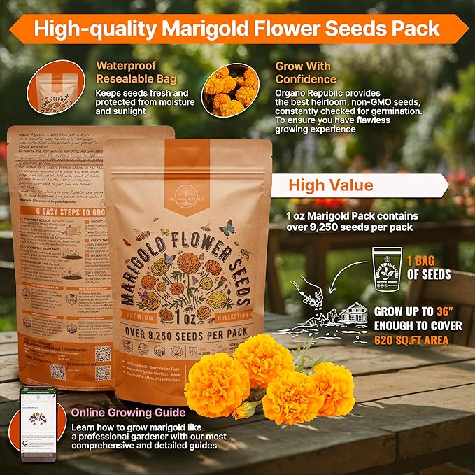 Marigold Seeds Pack 1 oz - Over 9,250 Non-GMO Heirloom Marigold Seeds for Planting Indoor & Outdoor Gardening, Flower Seed for Planting Home and Garden, Flowers Seed in Individual Packet