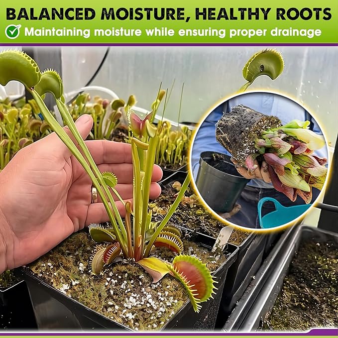 DUSPRO Carnivorous Plant Soil Mix 1.5QT-Include Forest Moss, Peat Moss, Perlite Potting Mix for Carnivorous Plants, Carnivorous Plants, Pitcher Plant, Butterworts, Sundews - Carnivorous Plant Food