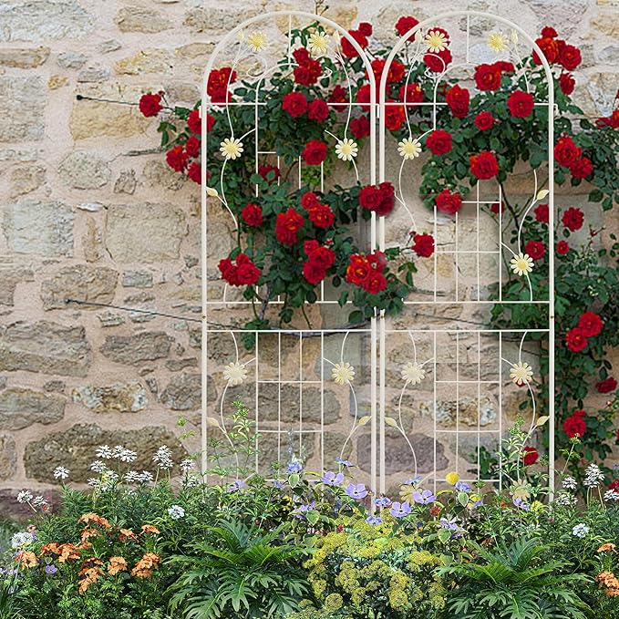 LZRS 4 Pack 71x20in Rustic Iron Arch Decoration Garden Trellis with Black Metal Coating – Perfect for Supporting Climbing Plants Outdoor, Roses, Vines, Flowers, and Vegetables.