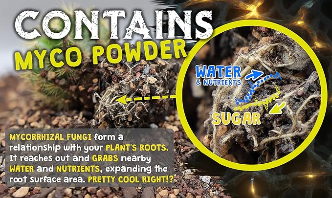 High Drainage Cactus Soil Potting Mix with Mycorrhizal Fungi - 8 Pounds / 4 Quarts of Soil for Succulents and Cactus - Slightly Acidic, Gritty Soil for Healthy Indoor Plants - Spike & Bloom